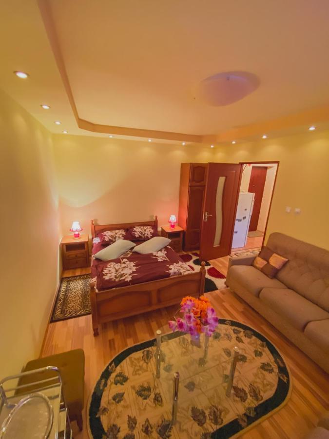 Geoagiu Băi Apartament Cristian מראה חיצוני תמונה