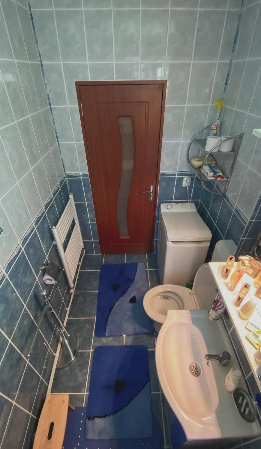 Geoagiu Băi Apartament Cristian מראה חיצוני תמונה