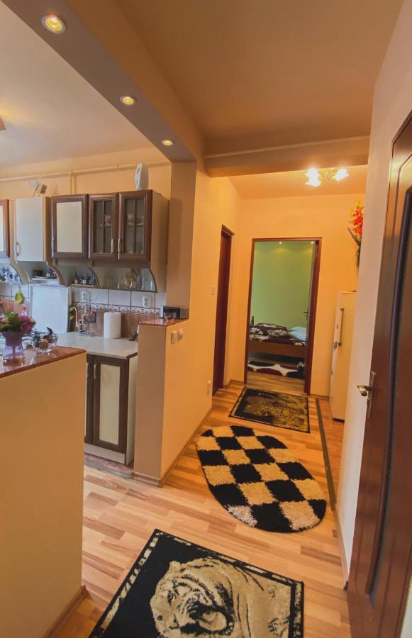 Geoagiu Băi Apartament Cristian מראה חיצוני תמונה