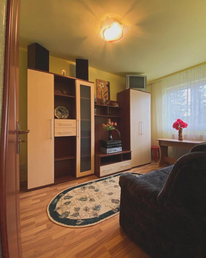 Geoagiu Băi Apartament Cristian מראה חיצוני תמונה