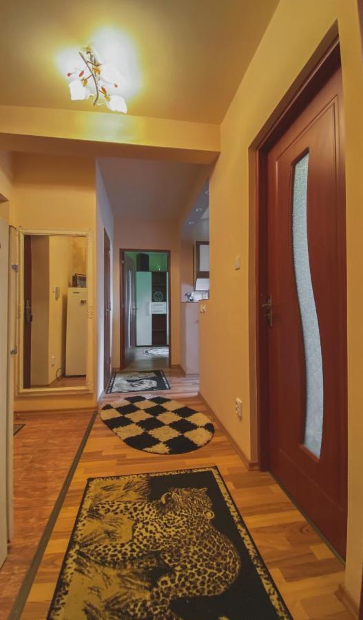 Geoagiu Băi Apartament Cristian מראה חיצוני תמונה